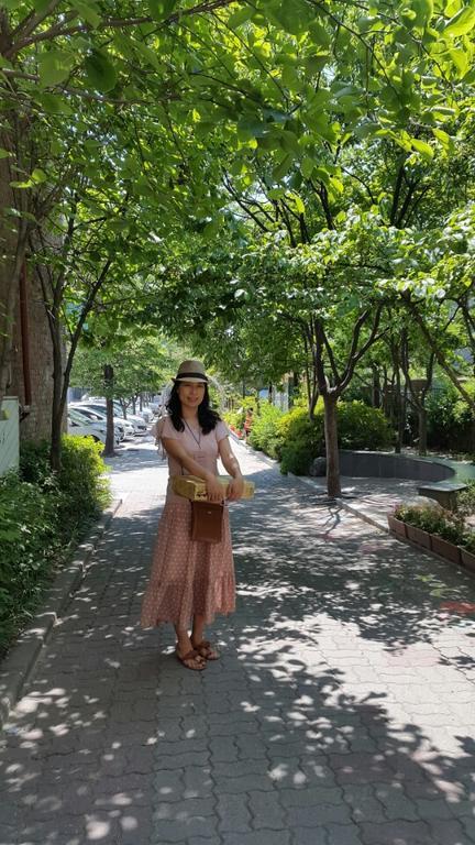 リディア クラフト ゲストハウス ソウル特別市 エクステリア 写真