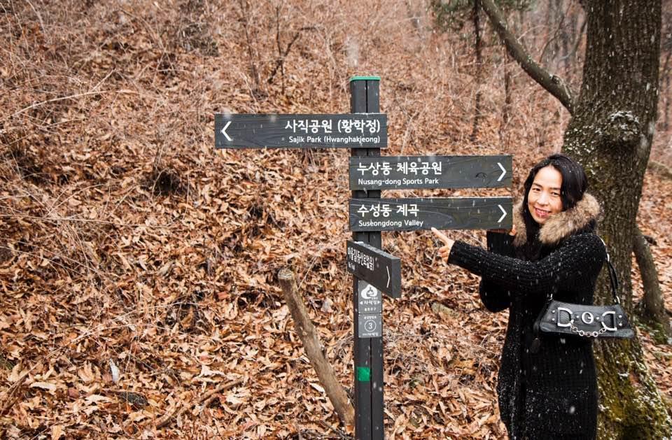 リディア クラフト ゲストハウス ソウル特別市 エクステリア 写真