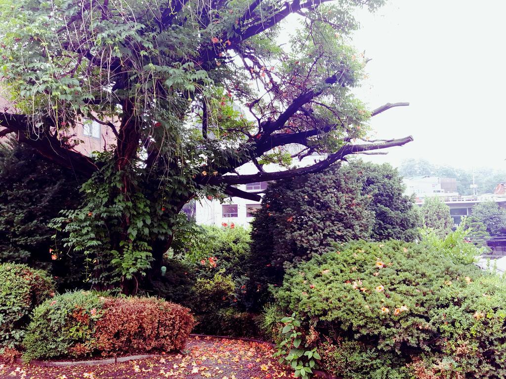 リディア クラフト ゲストハウス ソウル特別市 エクステリア 写真